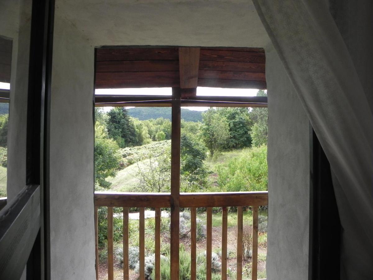 Apartmaji Hedera Komen Exterior photo