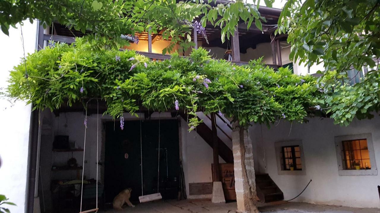 Apartmaji Hedera Komen Exterior photo